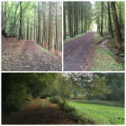 PicMonkey Collage4
