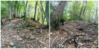 PicMonkey Collage5