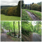 PicMonkey Collage7