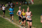 IMG 8087 (800x533)