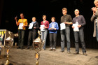 IMG 4995