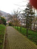 DSC 0804