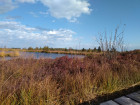 IMG-20191013-WA0004
