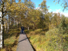 IMG-20191013-WA0005
