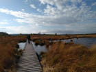 IMG-20191013-WA0006