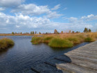 IMG-20191013-WA0007