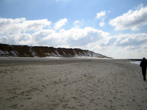IMG 4769.JPG