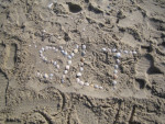 IMG 5021.JPG