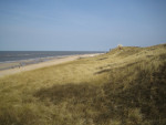 IMG 5036.JPG