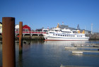 IMG 6536.JPG