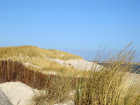 IMG 6540.JPG