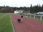 Reibkuchenlauf 033