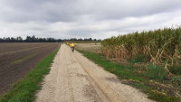 k-20200829 110529