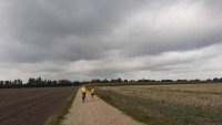 k-20200829 110548