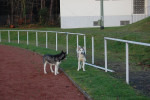k-DSC 0099.JPG