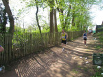 k-IMG 4133.JPG