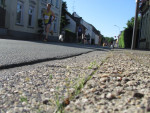 k-IMG 4372.JPG